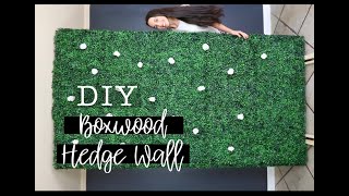 DIY MOBILE HEDGE WALL SUPER AFFORDABLE [upl. by Kathryne]