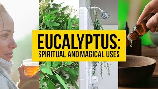 Eucalyptus Spiritual and Magical Uses  Yeyeo Botanica [upl. by Odlamur]