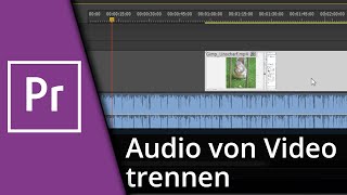 Adobe Premiere Audio von Video trennen ✅ Tutorial [upl. by Strawn]