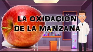 La oxidación de la manzana Experimento [upl. by Ube]