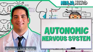 Neurology  Autonomic Nervous System [upl. by Frentz]