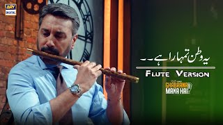 Ye Watan Tumhara Hai  Adnan Siddiqui  Flute Version [upl. by Enirhtak]