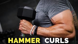 How To Do Hammer Curls for HUGE Biceps BICEP GROWTH [upl. by Anh]