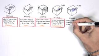 Dermatology  Lesion Terminology [upl. by Schiffman755]