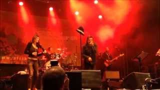 Rachid Taha  Ya Rayah  Live in Vienna 2014 [upl. by Audun634]