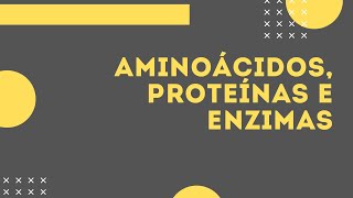 AMINOÁCIDOS PROTEÍNAS E ENZIMAS [upl. by Aerehs]