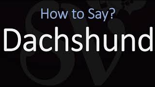 How to Pronounce Dachshund CORRECTLY Badger Dog name Pronunciation [upl. by Sukcirdor]