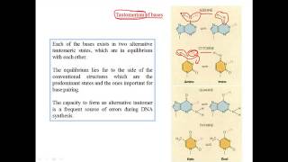 Tautomerization of bases [upl. by Unity589]