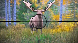 Hunting GIGANTIC Moose in Hunting Simulator 2 [upl. by Aroled]