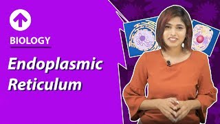 Endoplasmic Reticulum  CellStructure amp Function  Biology  Class 9 [upl. by Kacey927]