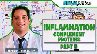 Top 5 Foods That Cause Inflammation [upl. by Piefer]