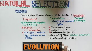 Natural selection theory  Darwin Theory  NMDCAT 2021 [upl. by Aible]