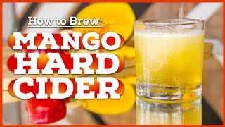 HARD MANGO CIDER How to Make Cider at Home 🍎🥭 [upl. by Ramad]