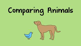 Comparing Animals [upl. by Muns556]