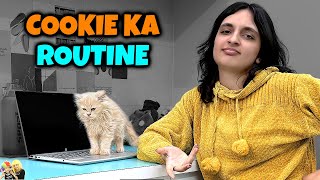 COOKIE KA ROUTINE  Aayu and Pihu Show [upl. by Doone]