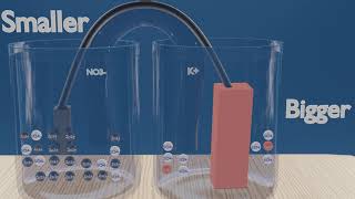 Galvanic cells explained in UNDER 5 MINUTES [upl. by Poucher]