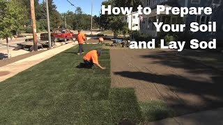 How to Prepare Your Soil and Lay Sod [upl. by Derwin]