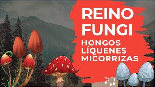 Reino Fungi HONGOS LÍQUENES Y MICORRIZAS [upl. by Geneva510]