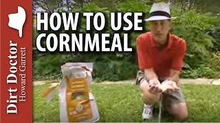 How To Use Cornmeal  The Dirt Doctor [upl. by Brandt532]