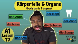 A1 German Lesson 72  Körperteile und Organe  Body parts and organs  Wortschatz  Vocabulary [upl. by Madaras271]