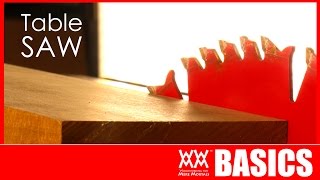 7 Things To Get You Started Using A Table Saw  WOODWORKING BASICS [upl. by Bailey647]