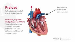 Cardiac Preload [upl. by Raddie961]