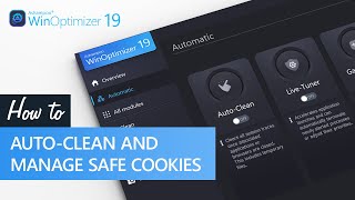 Ashampoo WinOptimizer 19  AutoClean and manage save cookies [upl. by Sanferd]