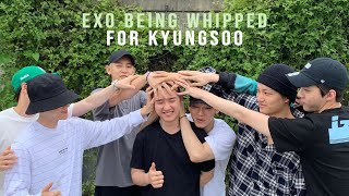 EXO BEING WHIPPED FOR KYUNGSOO [upl. by Ynnoj]