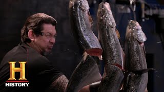 Forged in Fire KILLER Falcata Blade CHOPS the Final Round Extra Sharp Cuts Season 3  History [upl. by Thorr]