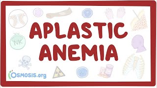 Aplastic anemia  an Osmosis Preview [upl. by Kcinnay]