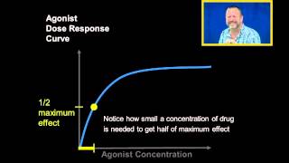 Agonist Dose Response Curves [upl. by Stalder]