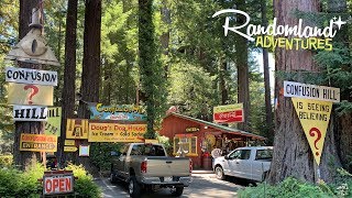 Confusion Hill  The real life Gravity Falls Roadside Attraction on the Redwood Highway [upl. by Yehudit291]