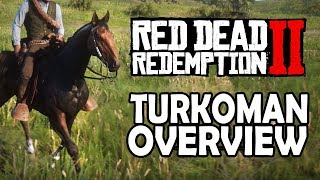 Turkoman Overview  Red Dead Redemption 2 Horses [upl. by Rexer]