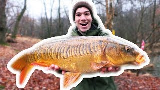 How To Catch Carp with CORN [upl. by Airod]