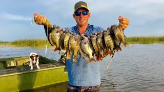 Monster Lake Okeechobee Bluegills Catch Clean Cook BlueGabe episode 1 [upl. by Ardnued]