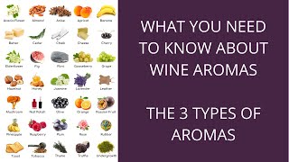 What you need to know about wine aromas the 3 types of aromas [upl. by Huckaby662]