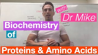 Proteins amp Amino Acids  Biochemistry [upl. by Kari]