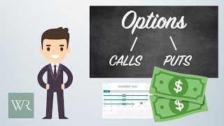 How To Use Options Calls And Puts Explained With Specific Examples [upl. by Willett]