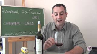 Ravanal Gran Reserva Carmenere 2008 [upl. by Primrosa48]