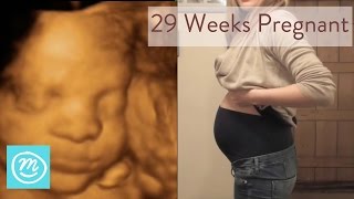 29 Weeks Pregnant What You Need To Know  Channel Mum [upl. by Ellekram]