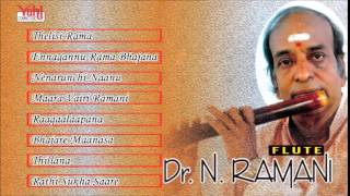 CARNATIC INSTRUMENTAL  DR N RAMANI  FLUTE  JUKEBOX [upl. by Mathias]