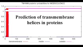 Transmembrane protein  Transmembrane region in Protein sequence  TMHMM [upl. by Marra221]