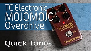 TC Electronic MOJOMOJO Overdrive  Quick Tones no talk [upl. by Hgielsel]