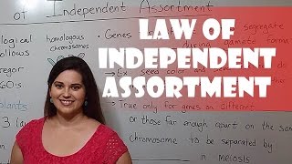 Mendels Law of Independent Assortment [upl. by Grondin]