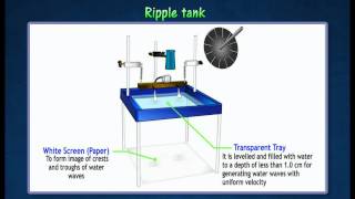 12 Ripple tank [upl. by Ecinev648]