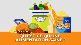 Questce quune alimentation saine [upl. by Soisinoid893]