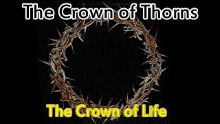 The Crown of Thorns  Interesting Facts [upl. by Talie293]