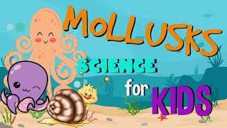 What is a Mollusk Invertebrates animals  Science for Kids [upl. by Aimahc]