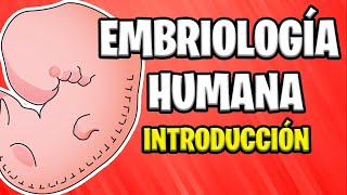 ✅ INTRODUCCIÓN A LA EMBRIOLOGÍA HUMANA  Conceptos Básicos 📚 [upl. by Sutphin876]