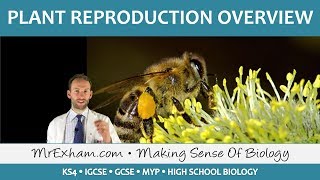 Plant Reproduction  Introduction and Overview  GCSE Biology 91 [upl. by Agnese]